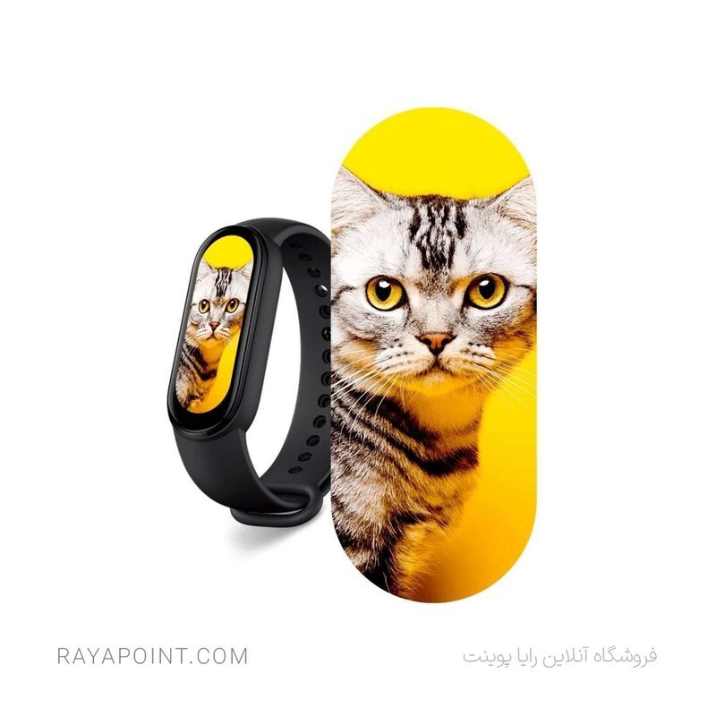  مشخصات Mi Band 6 